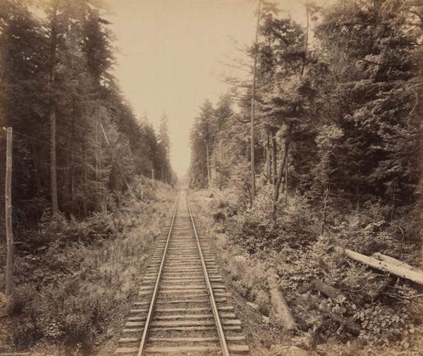 Hemlock Forest, c. 1895.