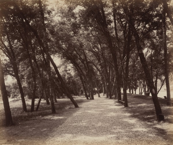 Picnic Grounds, c. 1895.