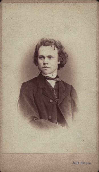 Portrait of the composer Anton Rubinstein (1829-1894). Private Collection.