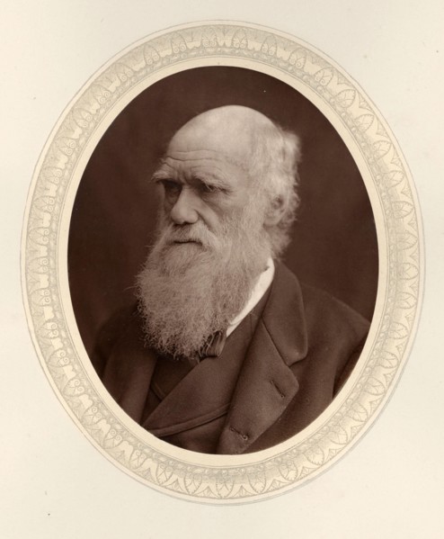 Portrait of Charles Darwin (1809-1882), 1877. Private Collection.