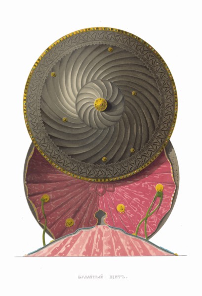 Bulat steel shield. From the Antiquities of the Russian State, 1849-1853. Private Collection.