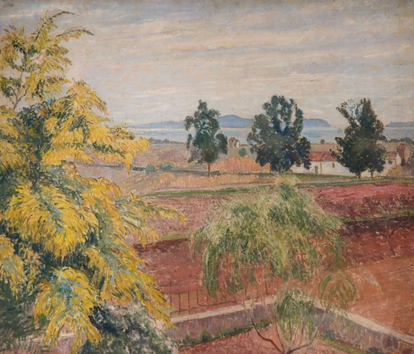 Mimosa Lavendou, 1923.