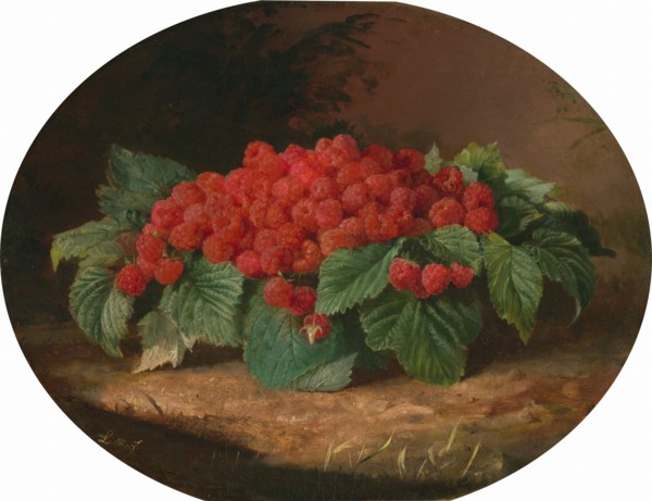Raspberries, c. 1859.