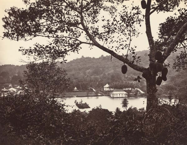 A Peep from Upper Lake Road showing Temple and Island with Park -- fruit tree in foreground, c.1865.