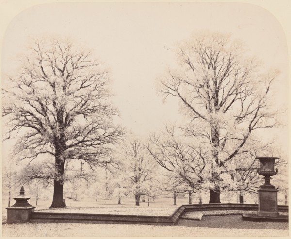 Hoarfrost, a Park Scene, 1862.