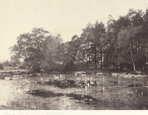 Marsh at Piat (Belle-Croix Plateau), c. 1863.