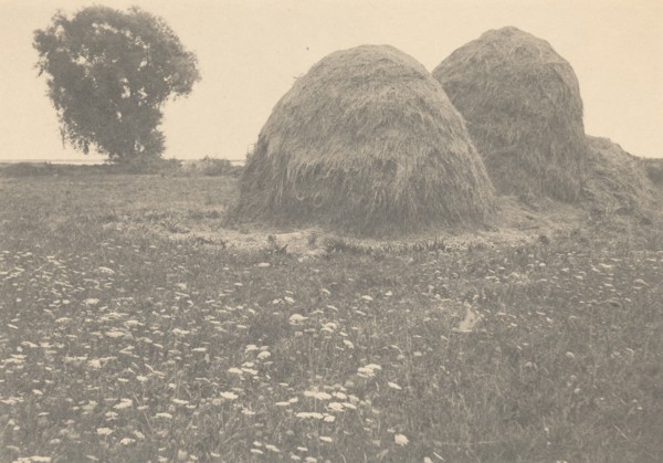 Haystacks, Ipswich, c. 1894.