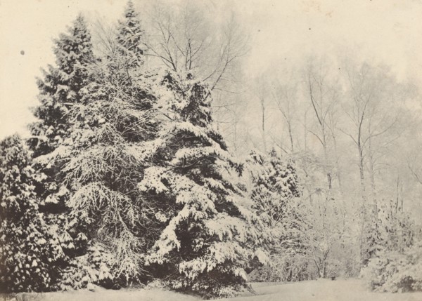 Paysage de sapins sous la neige, c. 1852.