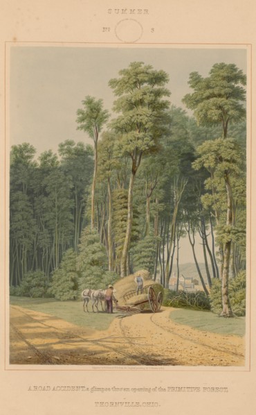 Summer--A Road Accident. A glimpse thro' an opening of the Primitive Forest. Thornville, Ohio, 1841.