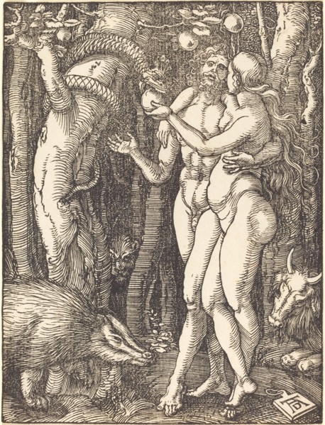 The Fall of Man, probably c. 1509/1510.