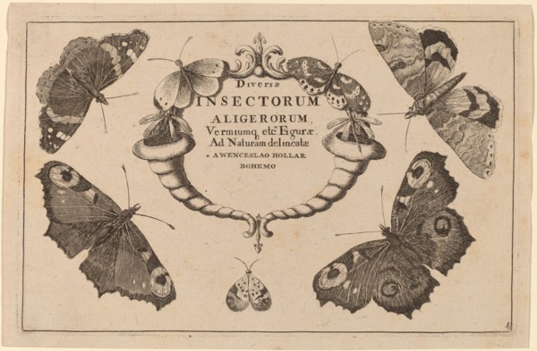 Title Page.