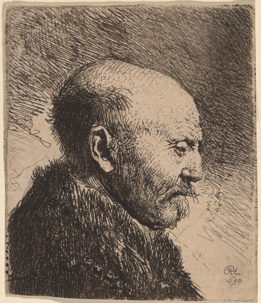 A Bald Man in Profile (The Artist's Father?), 1630.