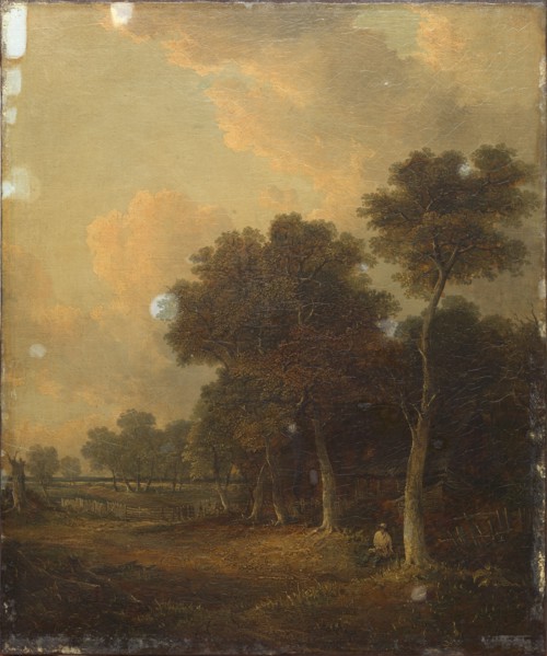 Landscape.