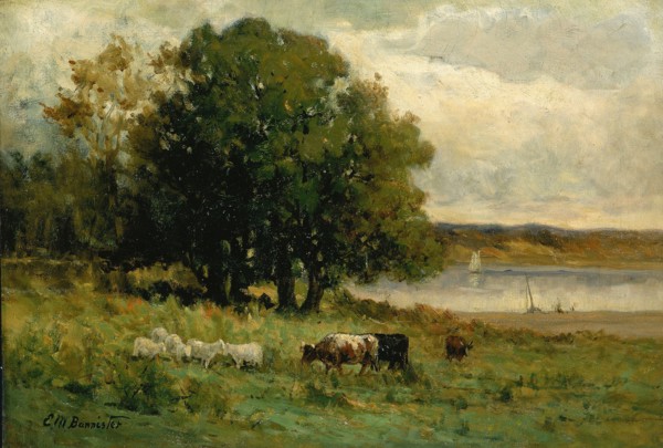 Untitled (cattle near river with sailboat in distance), n.d.