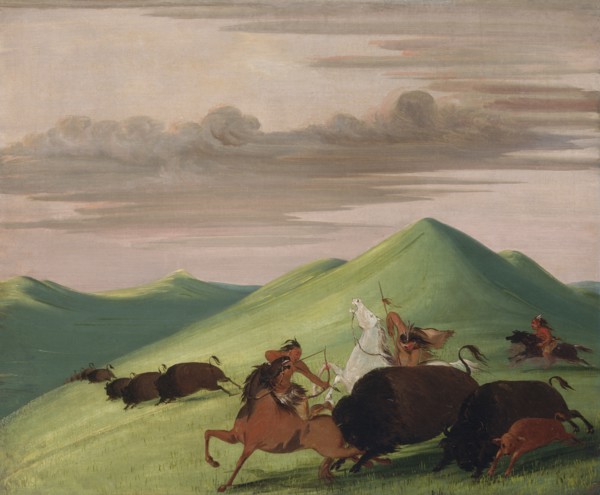 Buffalo Chase, Bull Protecting a Cow and Calf, 1832-1833.