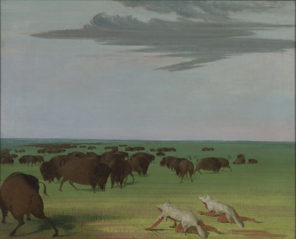 Buffalo Hunt under the Wolf-skin Mask, 1832-1833.