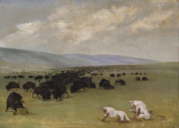 Catlin and His Indian Guide Approaching Buffalo under White Wolf Skins, 1846-1848.