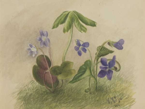 Untitled, 1874.