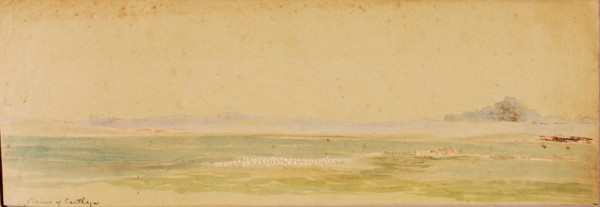 Plains of Carthage, 1854.