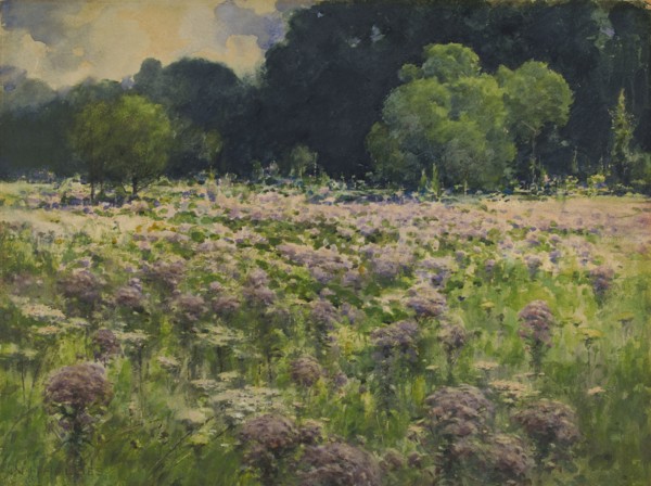 Field of Joe Pie Weeds (Pride of the Meadow), n.d.