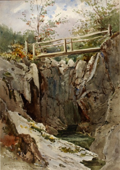 Curmillon, Mid-Wales, 1884.