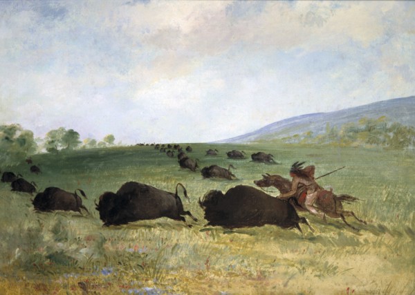 An Osage Indian Lancing a Buffalo, 1846-1848.