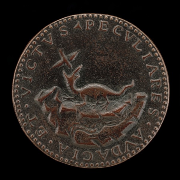 Crocodile and Trochilus [reverse].