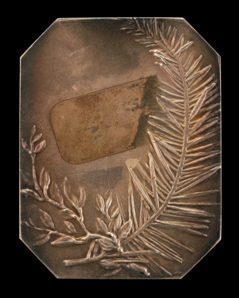 Intertwined Branches of Laurel and Evergreen [reverse], 1897.