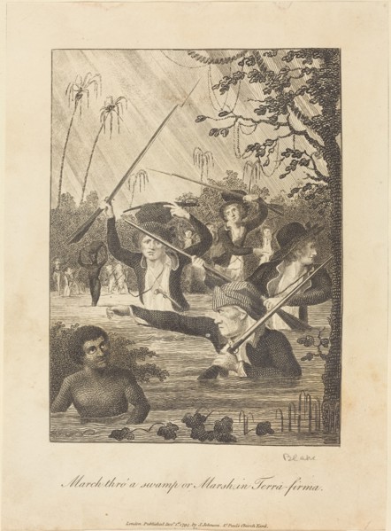March thro' a swamp or Marsh in Terra-firma, 1793.
