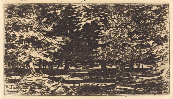Forêt.