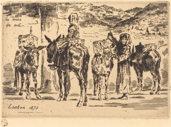Feuilles d'Anes du Midi (Sheet of Donkeys from the South), 1873.