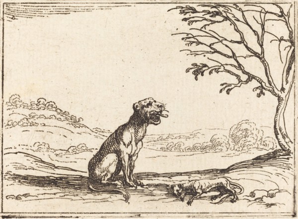 Lioness Mourning her Cub.