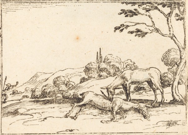 Doe Mourning her Foal.