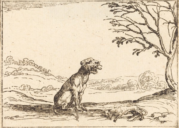 Lioness Mourning her Cub.