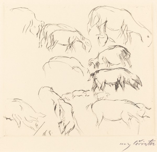 Verschiedene Tierstudien (Animal Studies), 1917.
