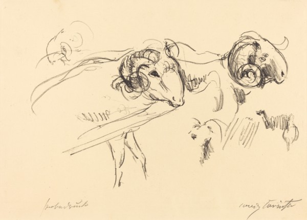 Schafböcke (Rams), 1912.