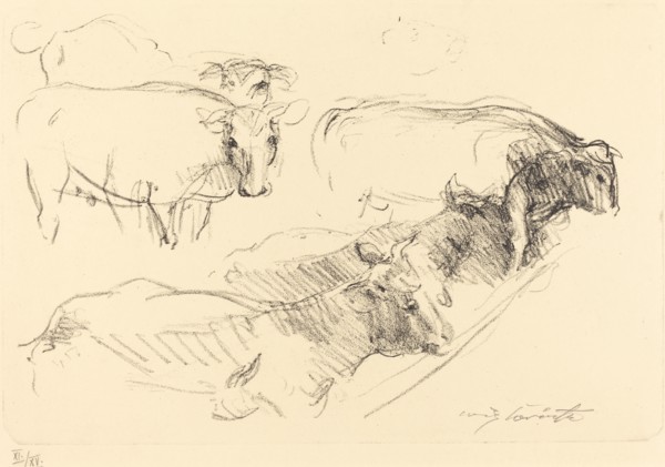 Kühe (Cows), 1910.