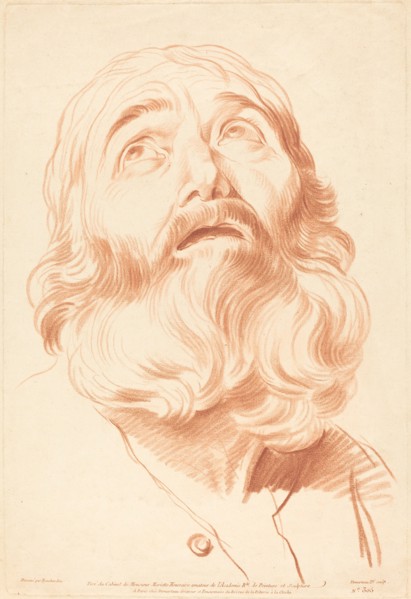 Head of a Man.