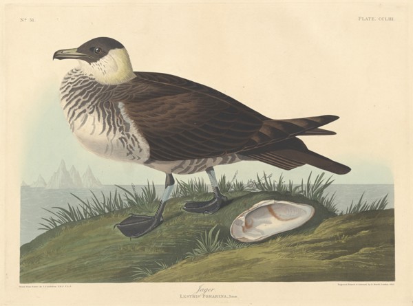 Jager, 1835.