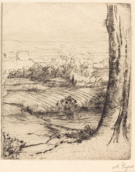 View of Reeds (Coin de roseau).