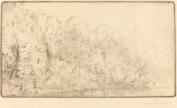 Along the River (Sur la riviere).