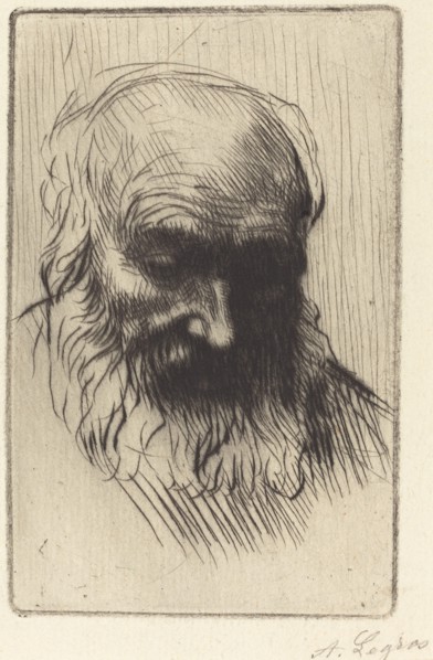Head of an Old Man (Etude de tete).