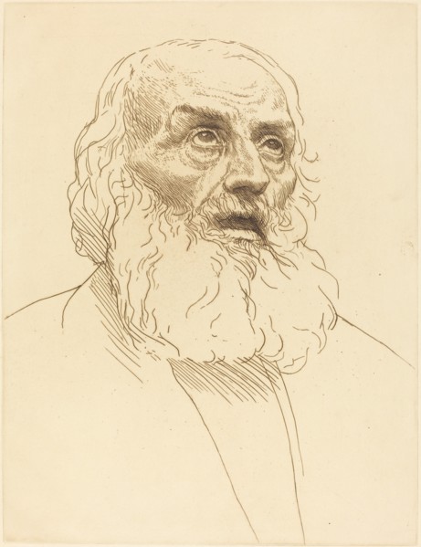 Study of an Old Man (Etude de vieillard).