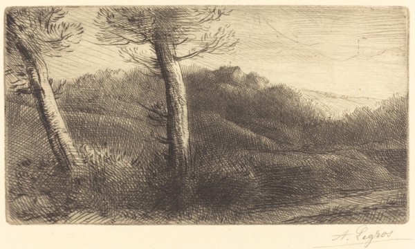 Sunset (Coucher du soleil).