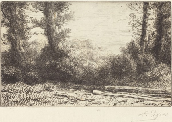 Edge of a Wood (Lisiere de bois).