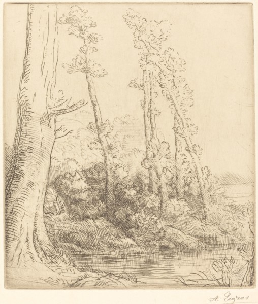 Little Pond (La petite mare).