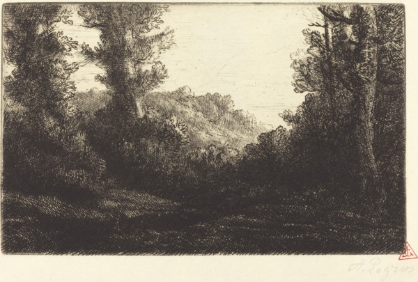 Edge of a Wood (Lisiere de bois).