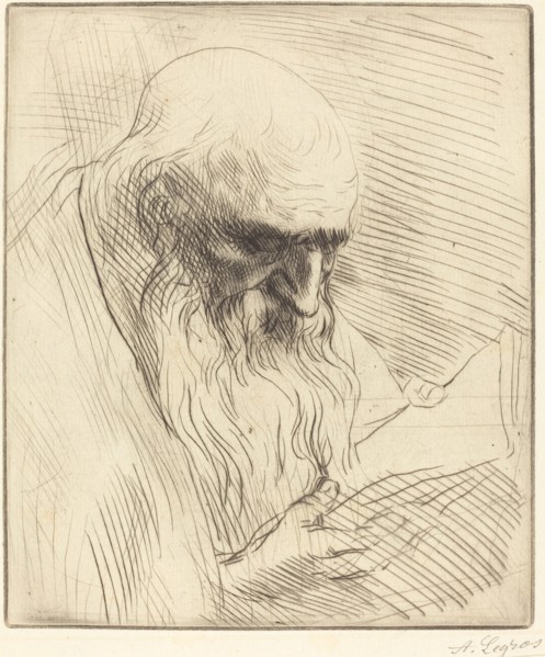 Study of the Head of a Man Reading (Etude de tete d'homme lisant).