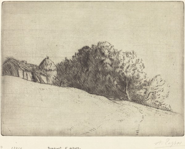 Stand of Trees (Bouquet d'arbres).