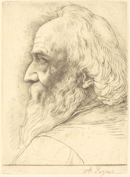 Self-Portrait, 12th plate.